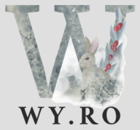 WY.RO